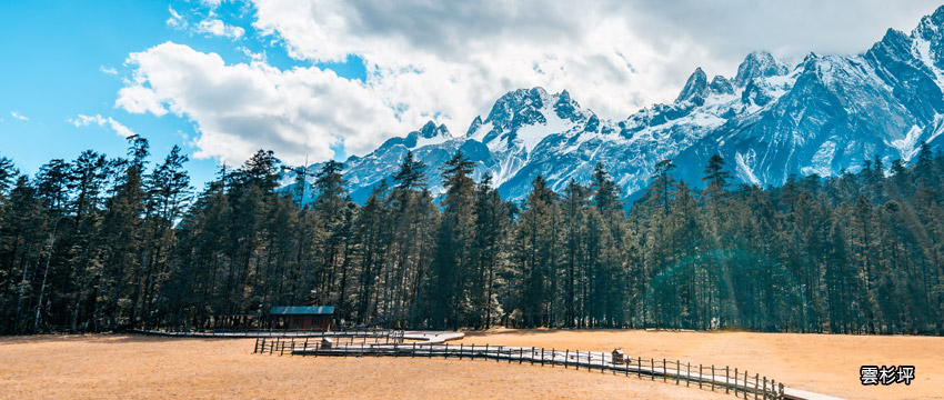 玉龍雪山雲杉坪